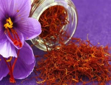 Οι θεραπευτικές ιδιότητες του σαφράν στην υγεία